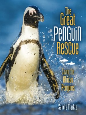 cover image of The Great Penguin Rescue